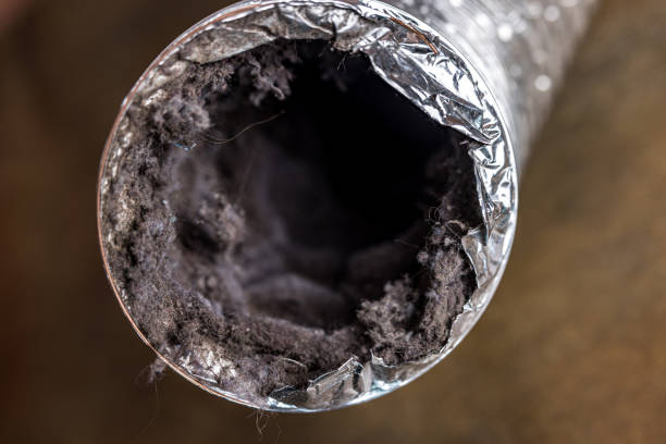 Best Professional Duct Cleaning Services  in Huntingtown, MD