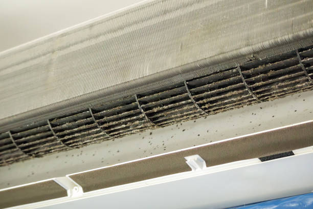 Best Commercial Air Duct Cleaning  in Huntingtown, MD
